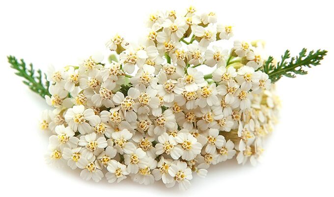 Gelarex conține o mie de frunze